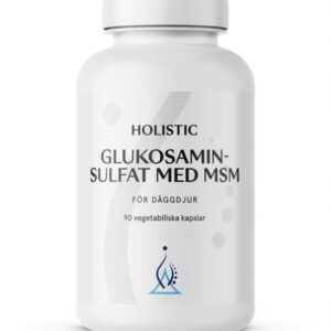 Holistic - Glukosaminsulfat med MSM 90 vegkapslar - Ekovital